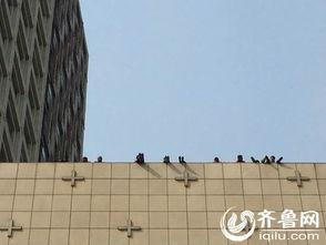 济南楼顶爆料案件最新,惊曝高空惊魂,真相即将揭晓