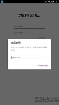 最新版本爆料分析软件,软件功能革新与用户体验升级深度解析